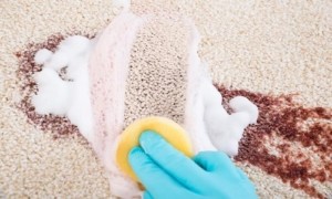 Cleaning Service in Melbourne